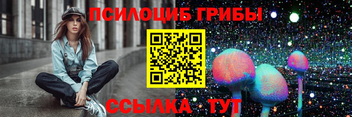 Галлюциногенные грибы Psilocybine cubensis  Вход с VPN  Муром 